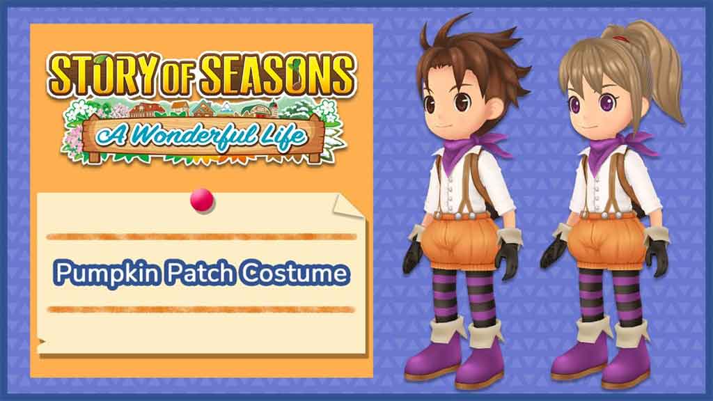 story of seasons: a wonderful life
